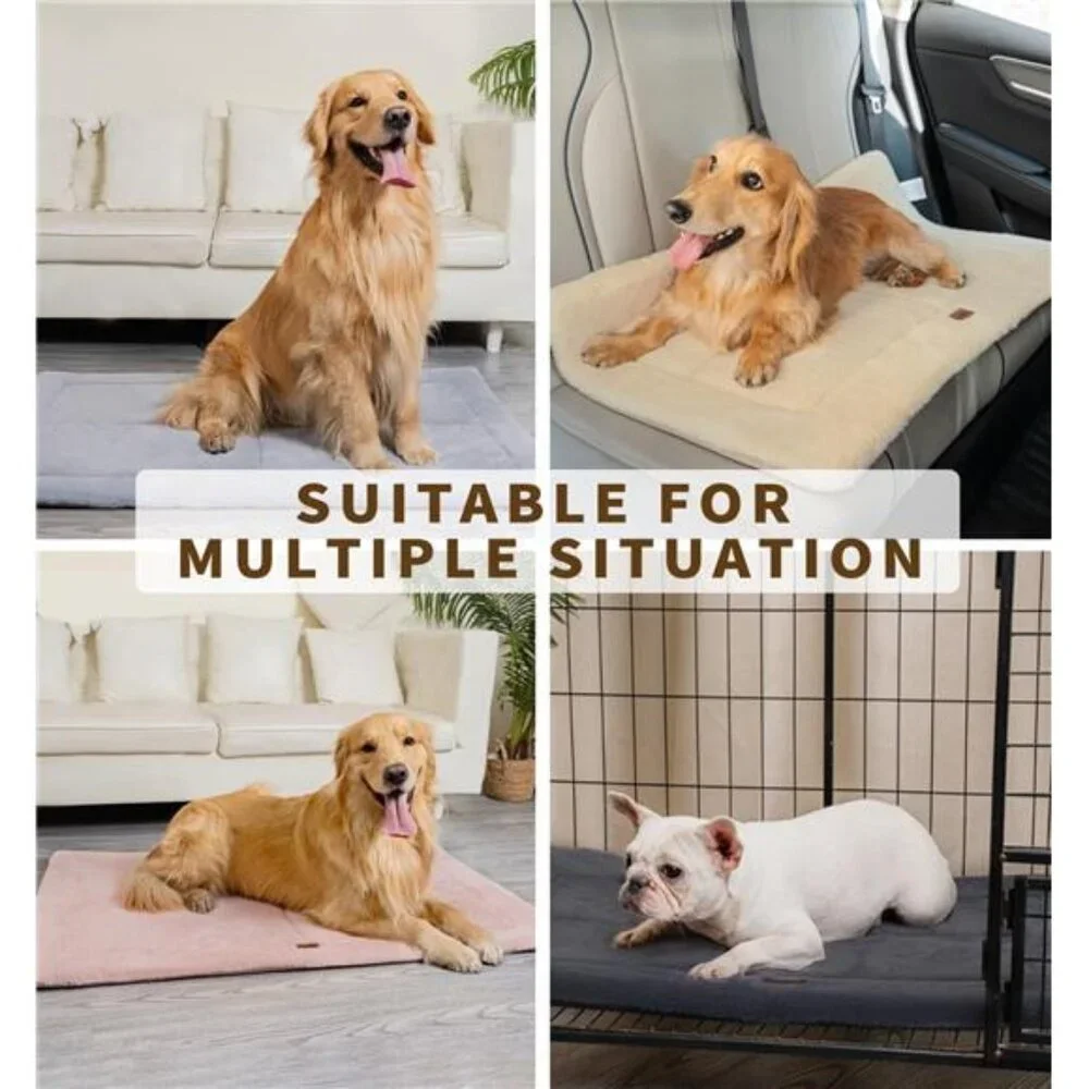 Washable Dog Bed for Size Dogs, Reversible Foam Floor Dog Mat, 29x21,